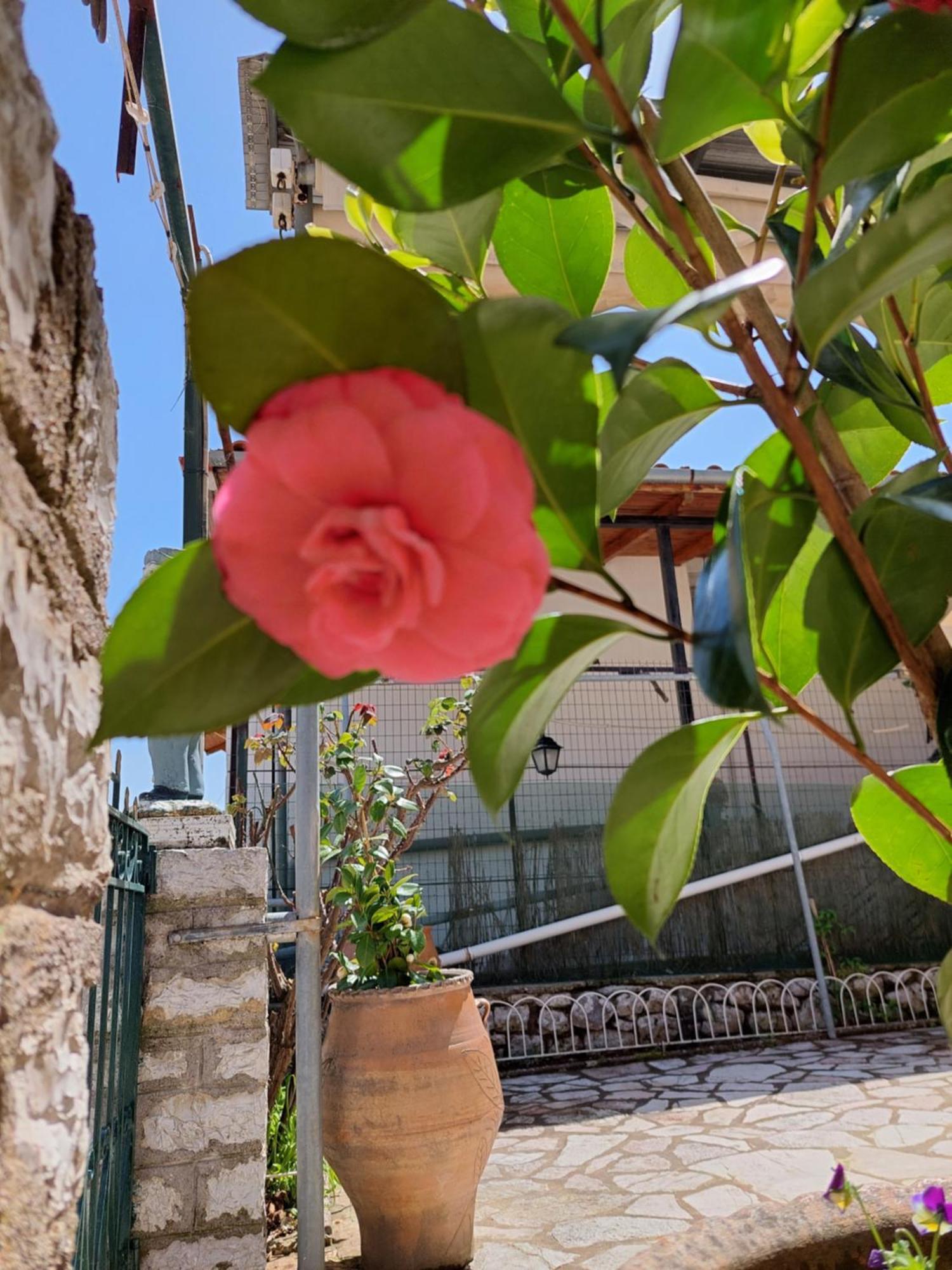 Αρτέμιδα Plus Karpenisi Apartment ภายนอก รูปภาพ