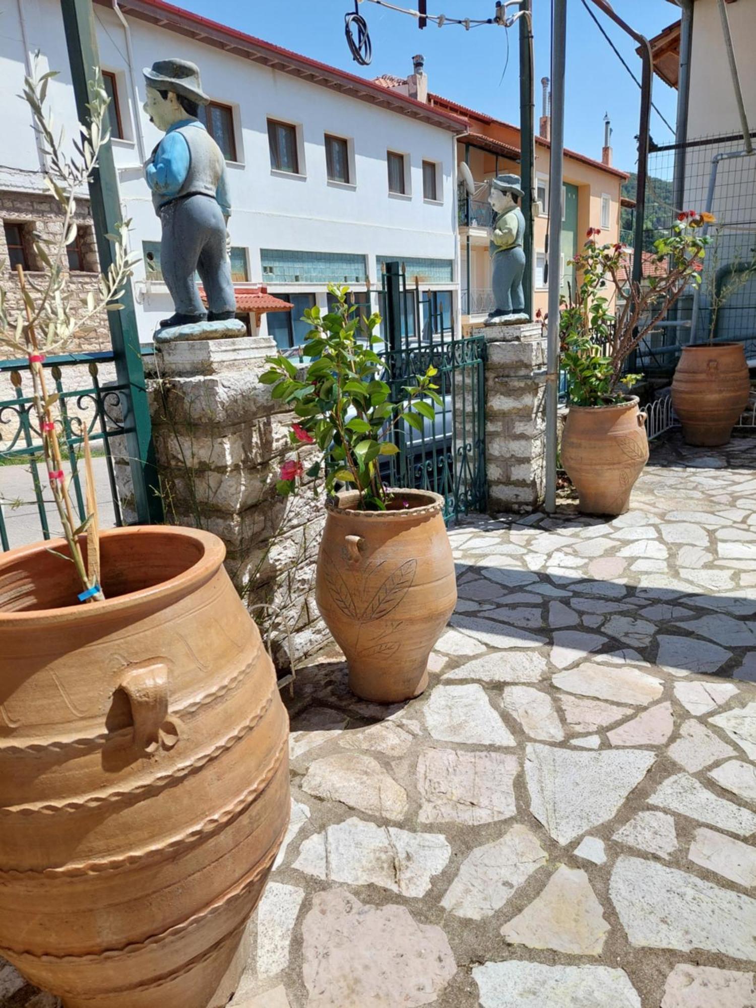 Αρτέμιδα Plus Karpenisi Apartment ภายนอก รูปภาพ